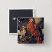 コンゴウインコおよびBullfinch 缶バッジ (正面&裏面)