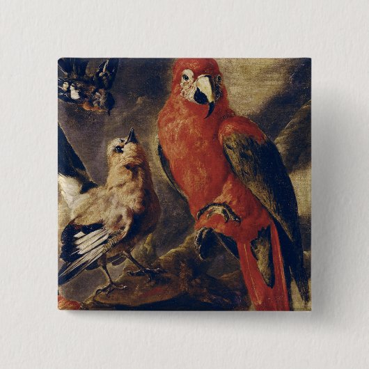 コンゴウインコおよびBullfinch 缶バッジ (正面)