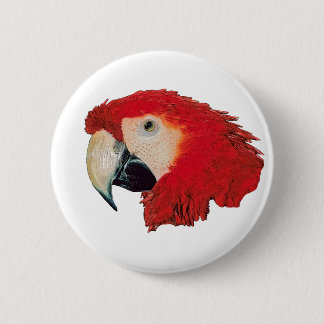 コンゴウインコのオウムのバッジPin 缶バッジ