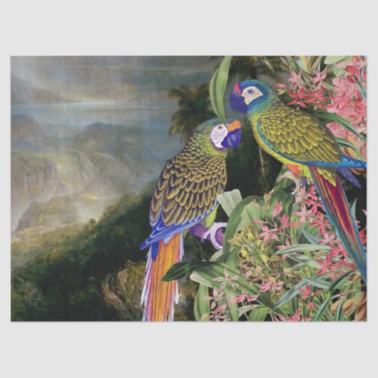 コンゴウインコのオウムの鳥の熱帯雨林動物のティッシュペーパー 薄葉紙 (正面)