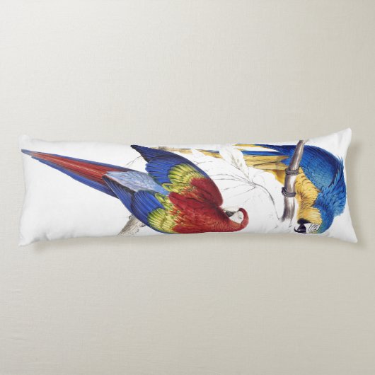 コンゴウインコのオウムの鳥の野性生物動物の抱き枕 ボディピロー (裏面)