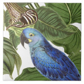 コンゴウインコのオウムの鳥の野性生物動物はタイルを去ります タイル (正面)