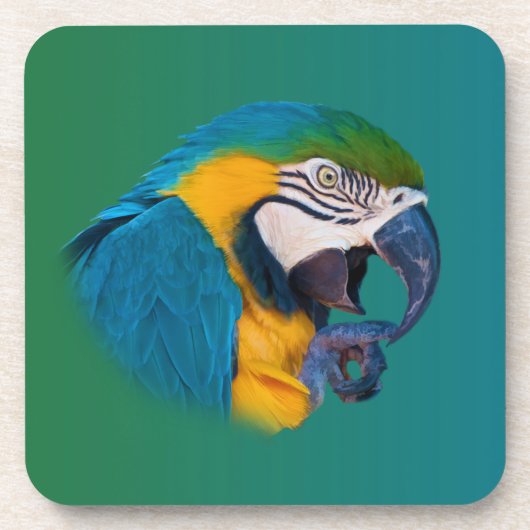 コンゴウインコのオウム、カスタマイズ可能なコルクのコースター コースター (正面)