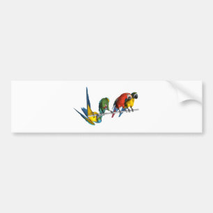 コンゴウインコのオウム バンパーステッカー