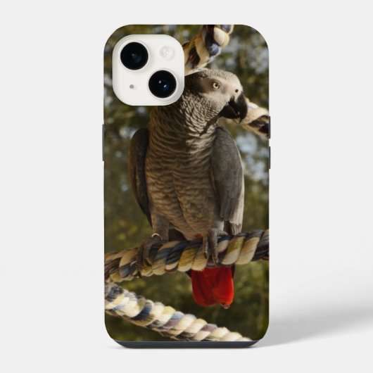 コンゴウインコのスイング Case-Mate iPhoneケース iPhone 14ケース (裏面)