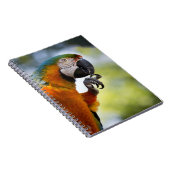 コンゴウインコのノート ノートブック (右側)