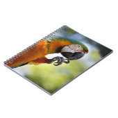 コンゴウインコのノート ノートブック (左側)