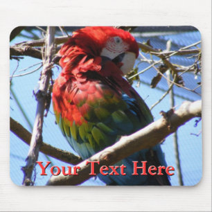 コンゴウインコのマウスパッド マウスパッド