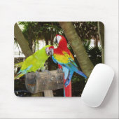 コンゴウインコのマウスパッド マウスパッド (マウス)