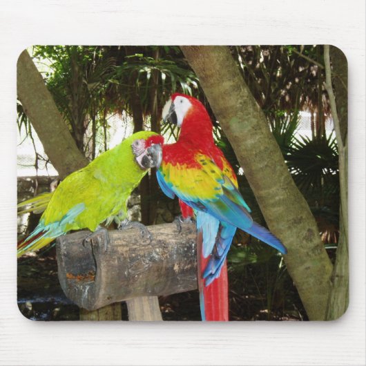 コンゴウインコのマウスパッド マウスパッド (正面)