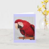 コンゴウインコのメッセージカード カード (黄色い花)