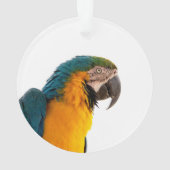 コンゴウインコの写真 オーナメント (裏面)