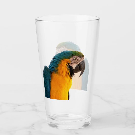コンゴウインコの写真 タンブラーグラス (正面)