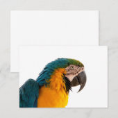 コンゴウインコの写真 出欠カード (正面/裏面)