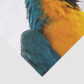 コンゴウインコの写真 薄葉紙 (詳細)