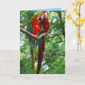 コンゴウインコの組の誕生日の挨拶状 カード (黄色い花)