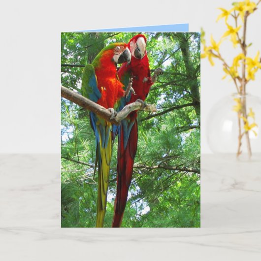 コンゴウインコの組の誕生日の挨拶状 カード (黄色い花)