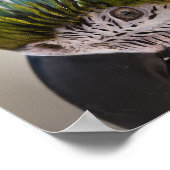 コンゴウインコの肖像画 - 美術印刷 ポスター (角)