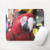 コンゴウインコのmousepad マウスパッド (マウス)