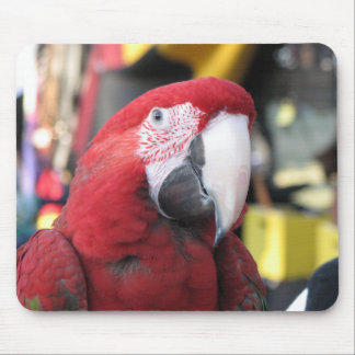 コンゴウインコのmousepad マウスパッド