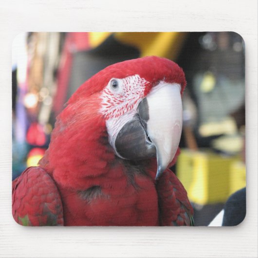 コンゴウインコのmousepad マウスパッド (正面)