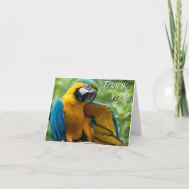 コンゴウインコはNotecards感謝していしています サンキューカード