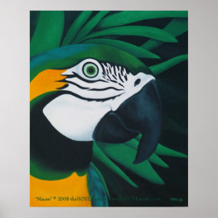 コンゴウインコポスター ポスター