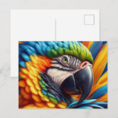 コンゴウインコ愛好家 ポストカード (正面/裏面)