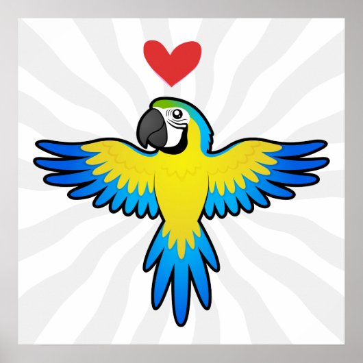 コンゴウインコ / インコの愛 ポスター (正面)