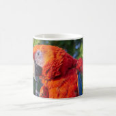 コンゴウインコ コーヒーマグカップ (中央)