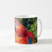 コンゴウインコ コーヒーマグカップ (正面右)