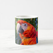 コンゴウインコ コーヒーマグカップ (中央)