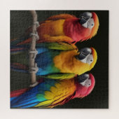 コンゴウインコ ジグソーパズル (横)