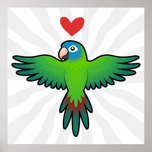 コンゴウインコ/ヒインコ/オウム ラブ ポスター (正面)
