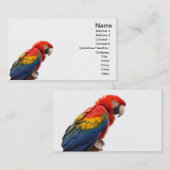 コンゴウインコ 名刺 (正面/裏面)