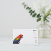コンゴウインコ 名刺 (スタンド正面)
