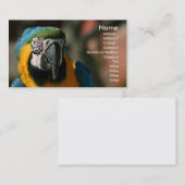 コンゴウインコ 名刺 (正面/裏面)