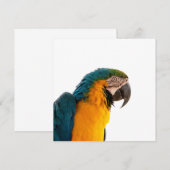 コンゴウインコ 招待状 (正面/裏面)