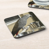 コンゴエレガントアフリカグレイ コースター (左側)