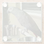 コンゴエレガントアフリカ産灰色オウムオンスタンド ガラスコースター (裏面)