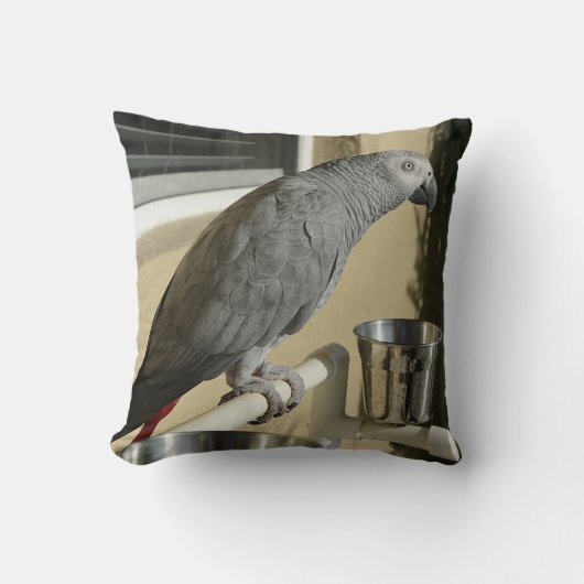 コンゴエレガントアフリカ産灰色オウムオンスタンド クッション (正面)