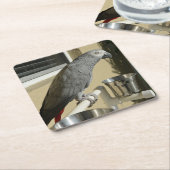 コンゴエレガントアフリカ産灰色オウムオンスタンド スクエアペーパーコースター (アングル)