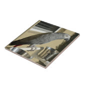 コンゴエレガントアフリカ産灰色オウムオンスタンド タイル (側面)