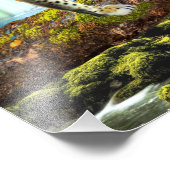 コンゴヒョウ フォトプリント            (角)