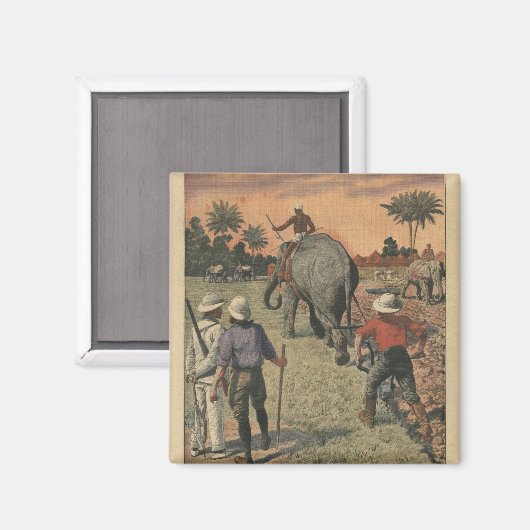 コンゴフランスので,象が耕す訓練を受けた マグネット (正面/裏面)