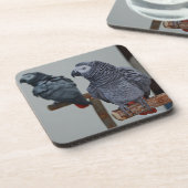 コンゴ・アフリカ・グレイ・オウム鏡 コースター (左側)