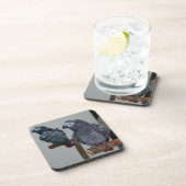 コンゴ・アフリカ・グレイ・オウム鏡 コースター (右側)