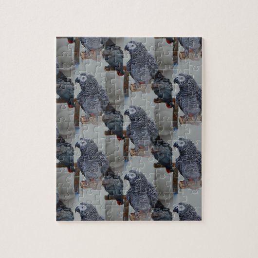 コンゴ・アフリカ・グレイ・オウム鏡 ジグソーパズル (縦)