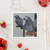 コンゴ・アフリカ・グレイ・オウム鏡 スタンダードカクテルナプキン (インサイチュ)