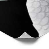 コンゴ・アフリカ・グレイ・パロットポスター ポスター (角)